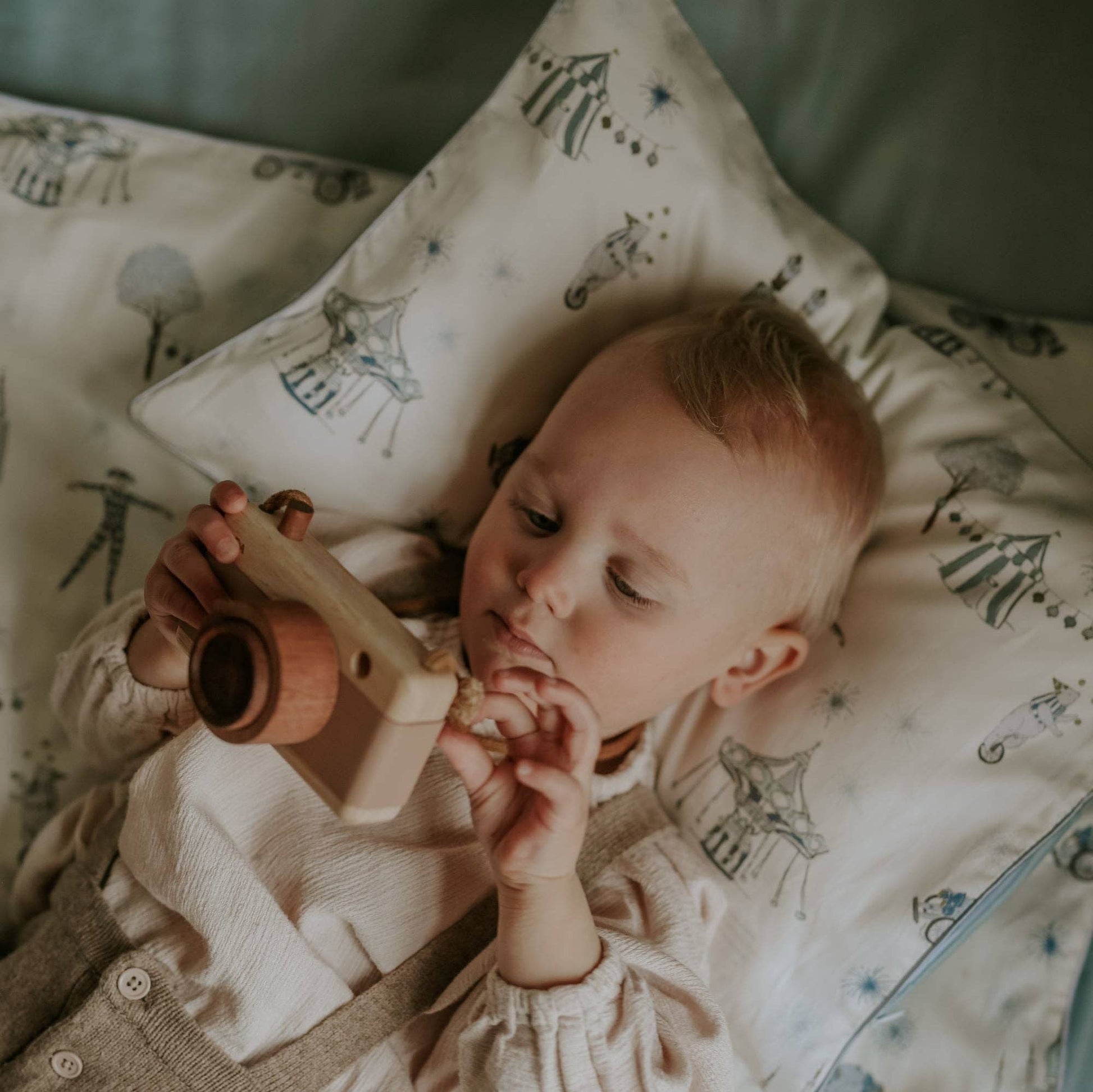 Adventures in Wonderland Toddler Pillow