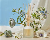 Reed Diffuser