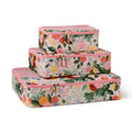 Packing Cube Set