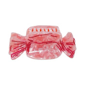 Large Hair Claw Clip