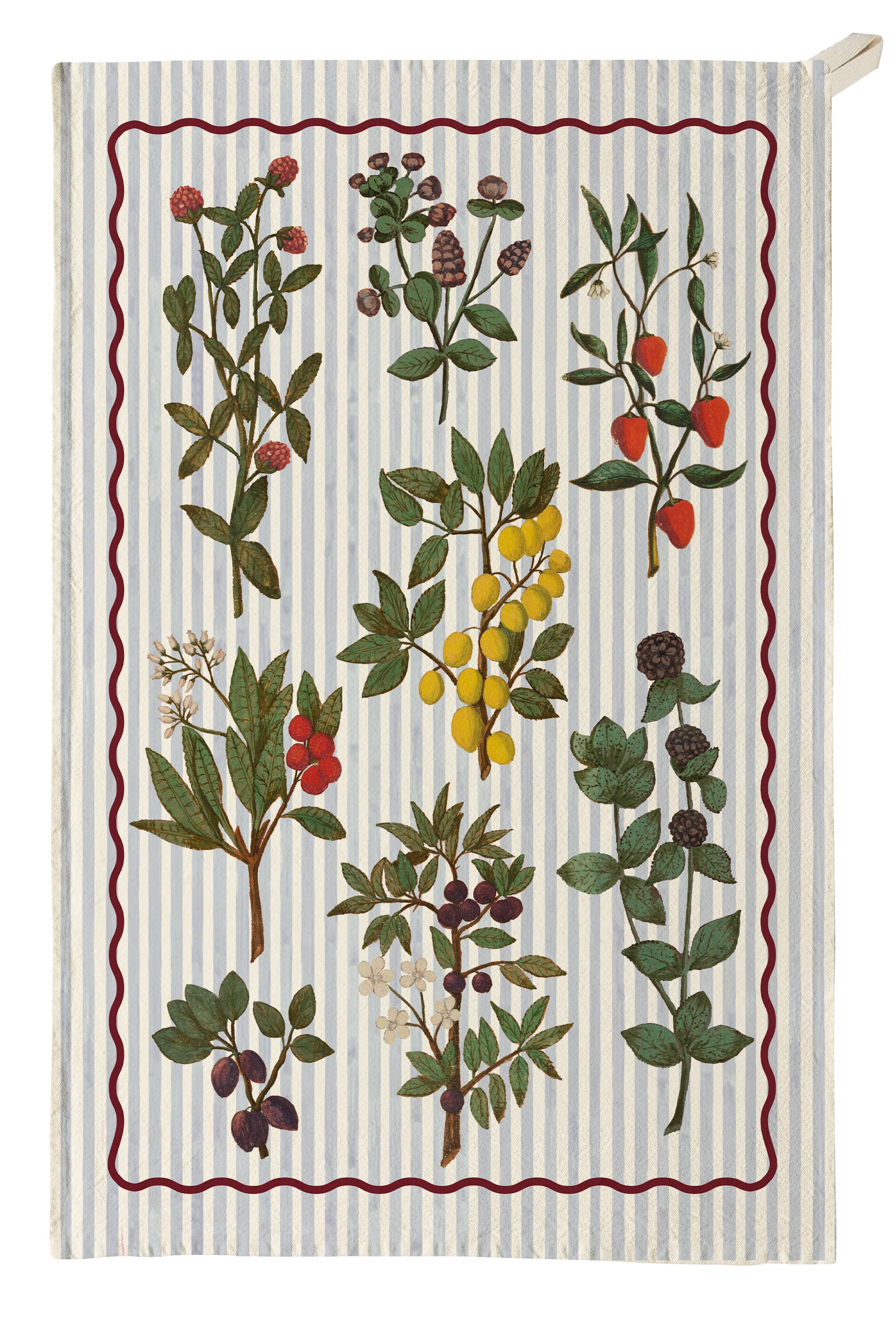 Organic Cotton Tea Towels