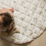 Adventures in Wonderland Play Mat
