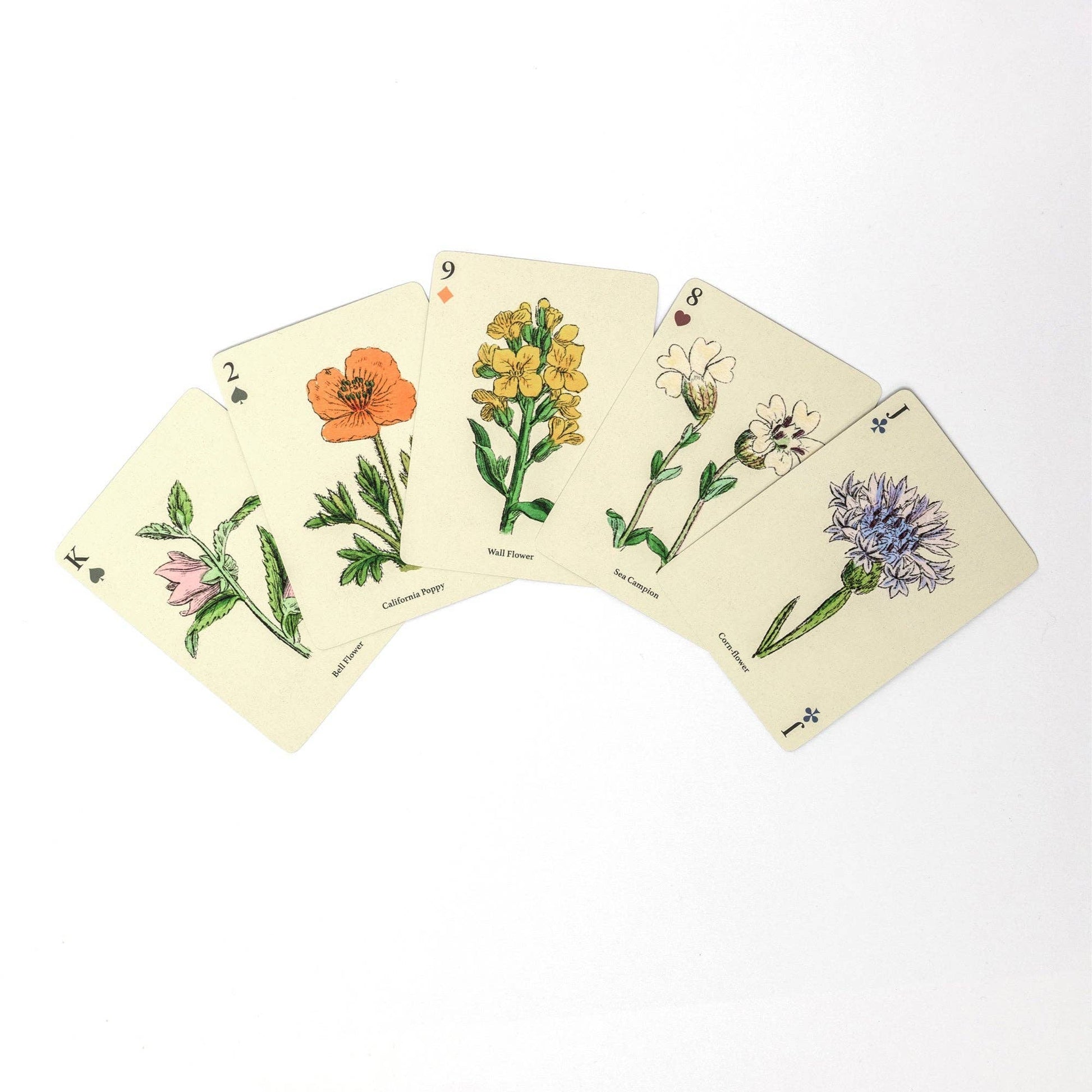 Illustrated Playing Cards