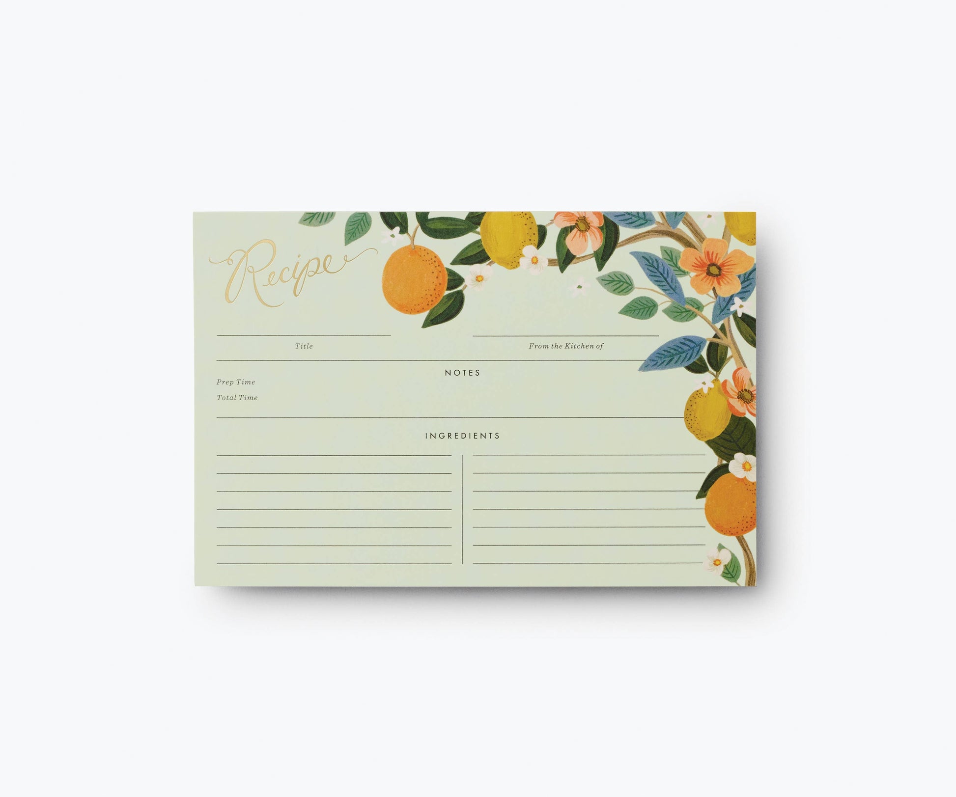 12 Pack Recipe Cards