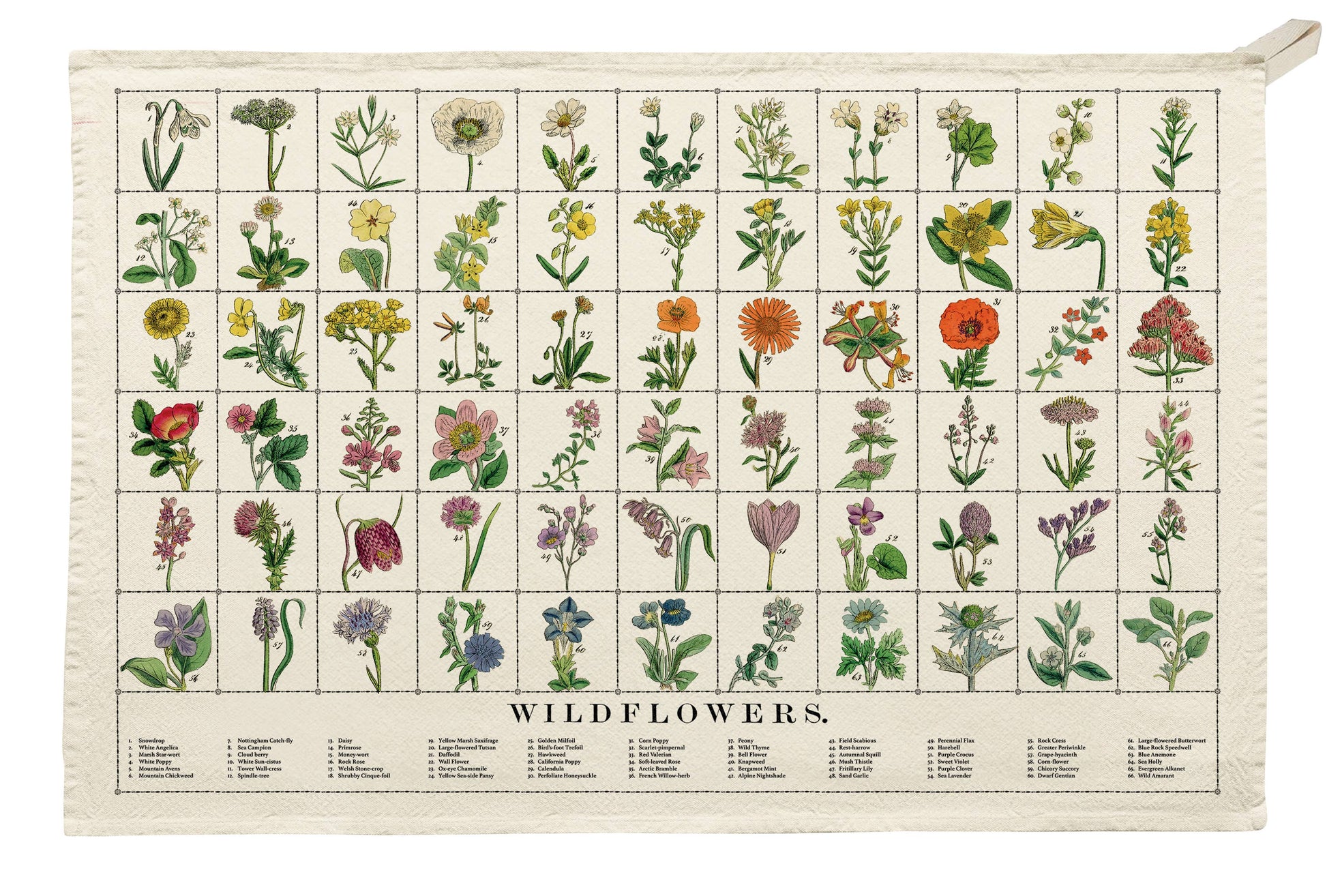 Organic Cotton Tea Towels