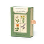 Illustrated Playing Cards