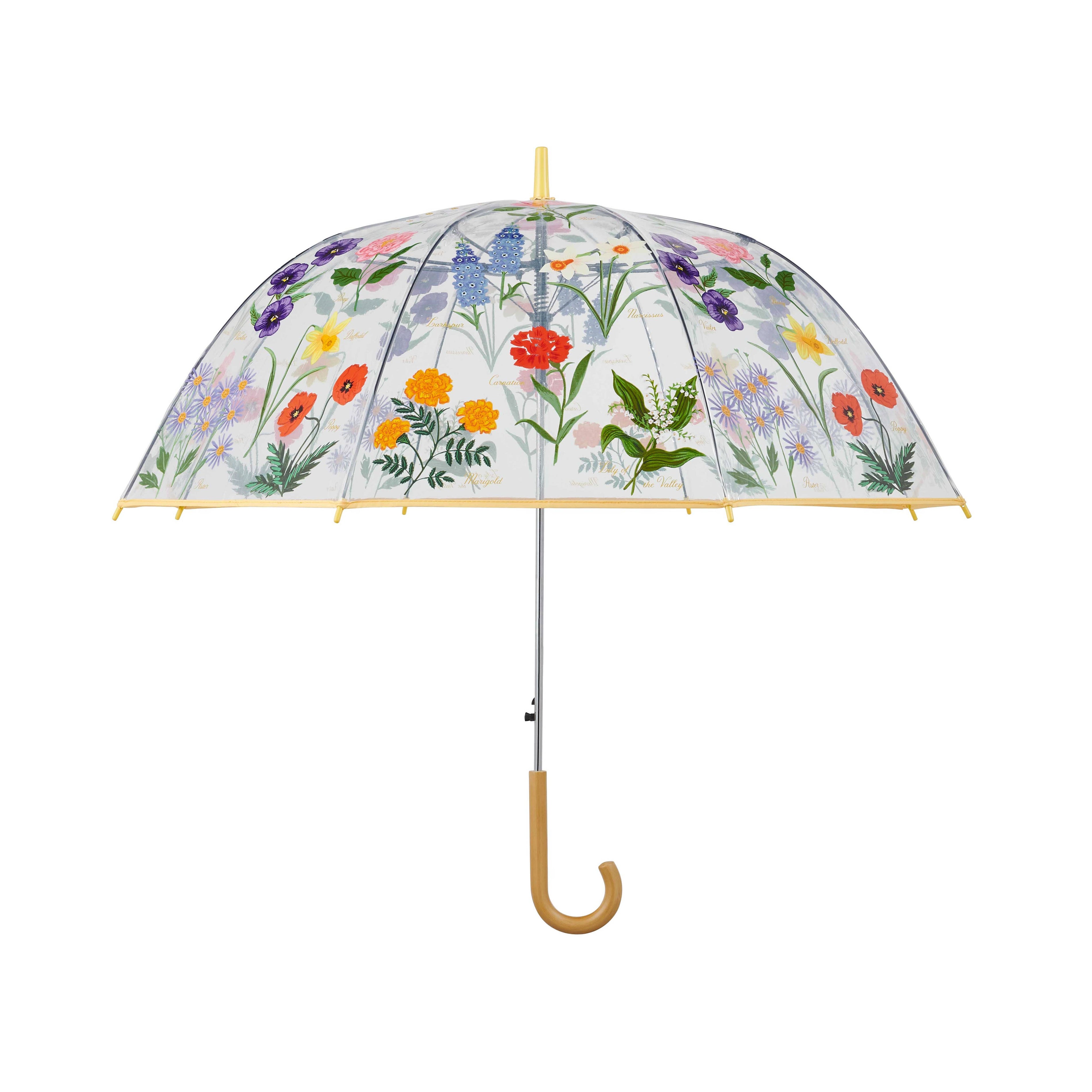 Garden Study Clear Umbrella