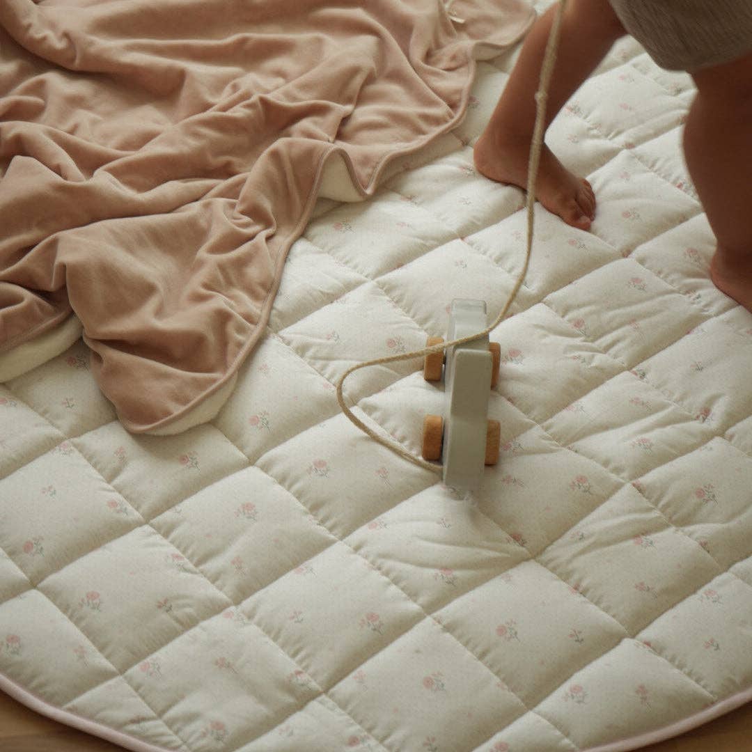 Velour Baby Blanket