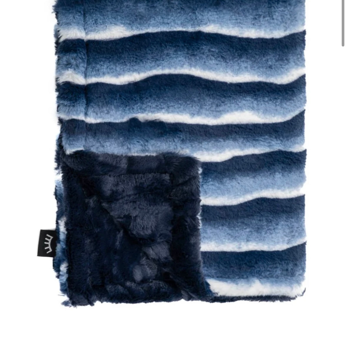 Plush Minky Blanket