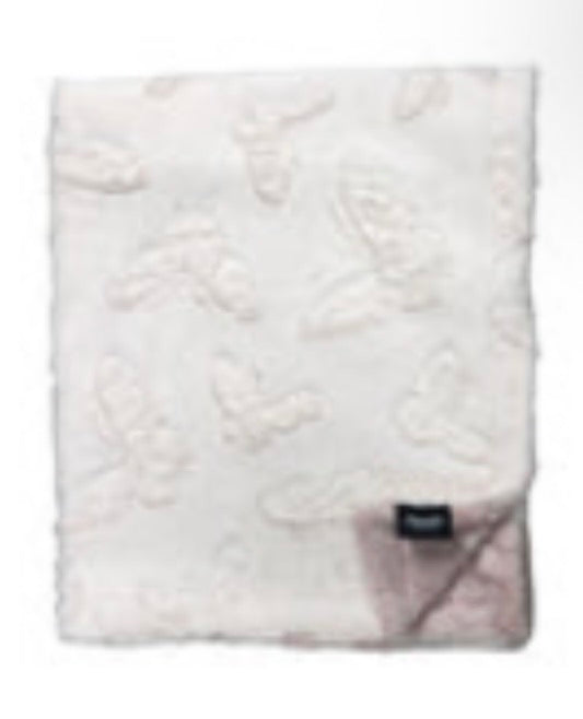 Sorbet Minky Blanket