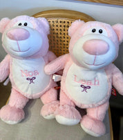 Plush Teddy
