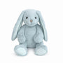 Softie Bunny