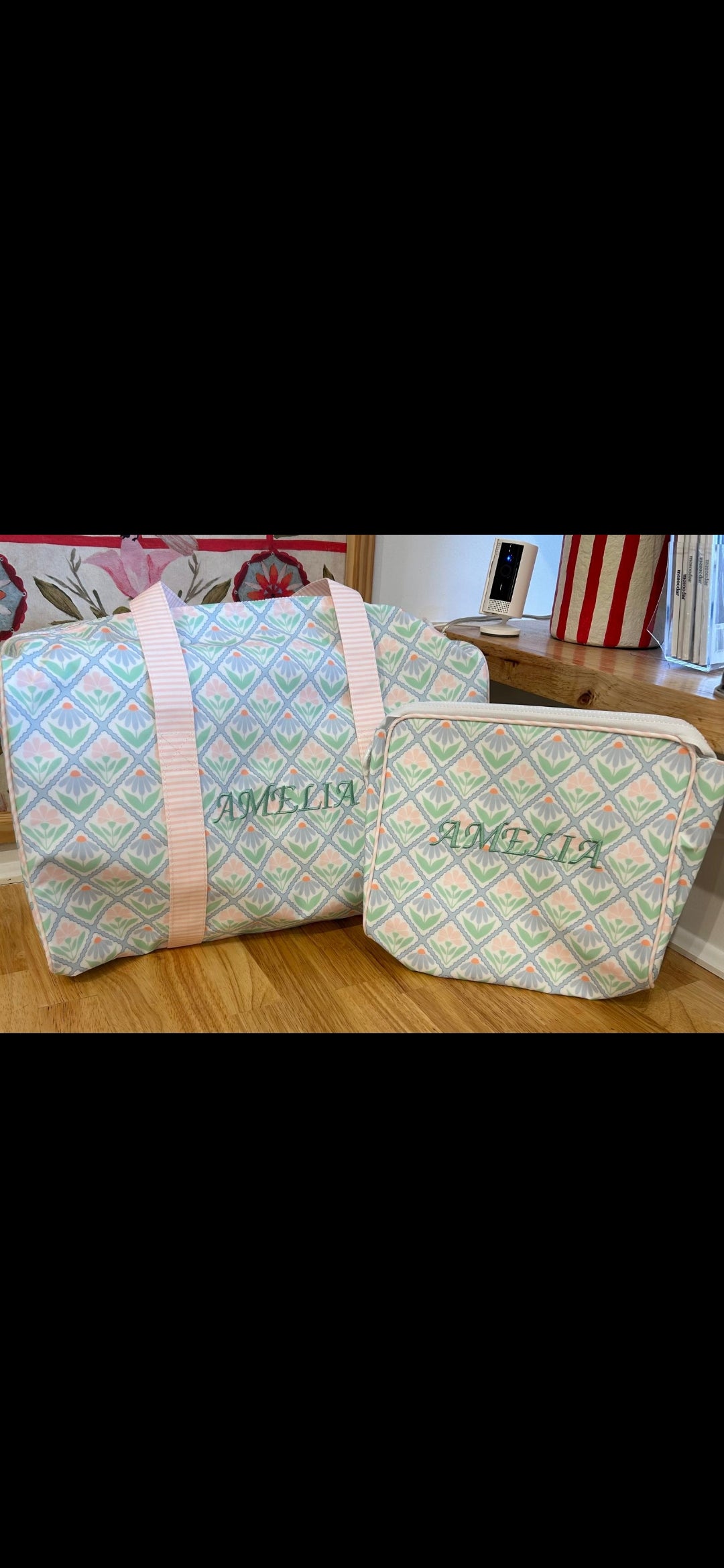 The Vinyl Go Bag