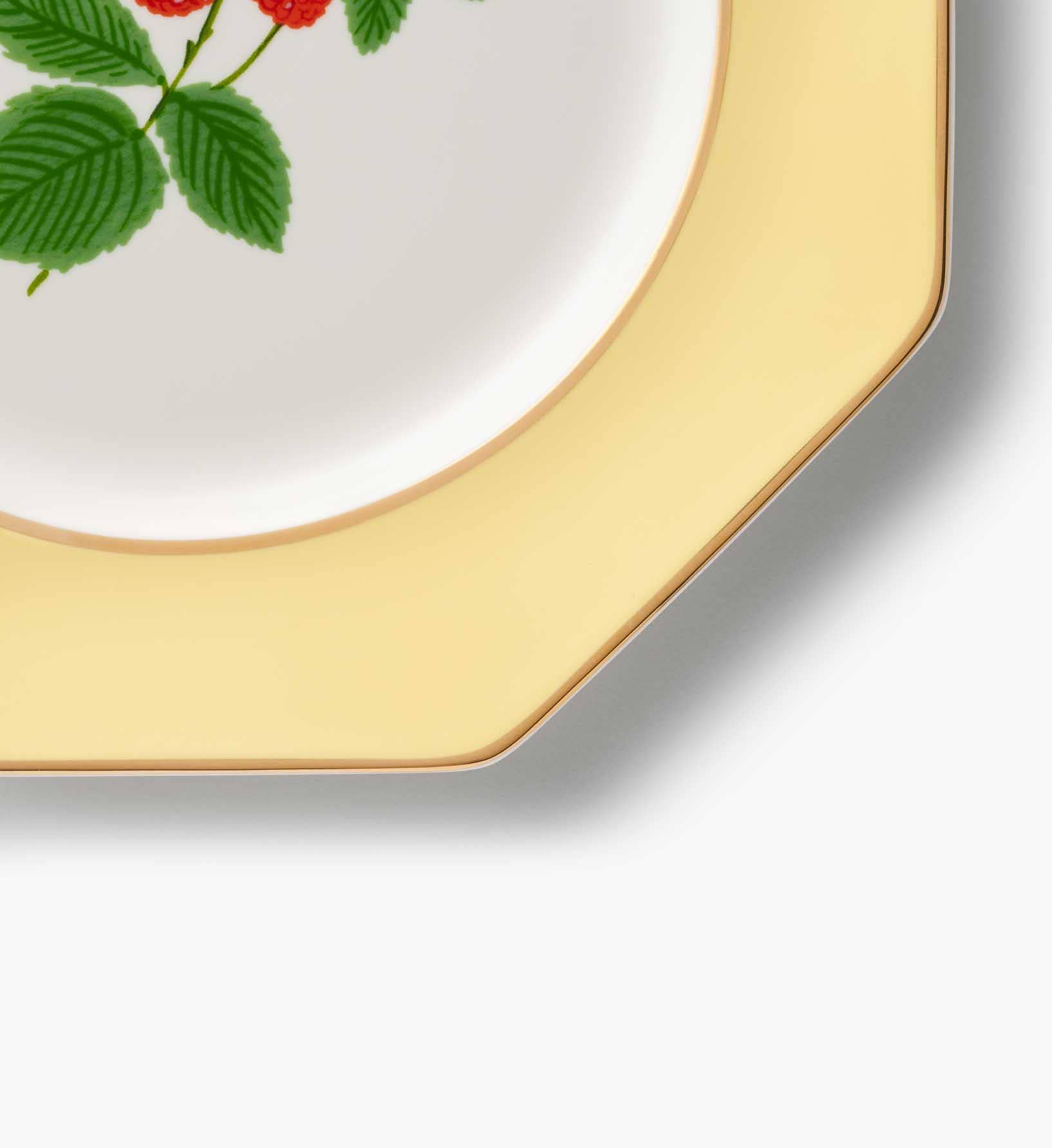 Roses Porcelain Dessert Plate Set
