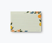 12 Pack Recipe Cards