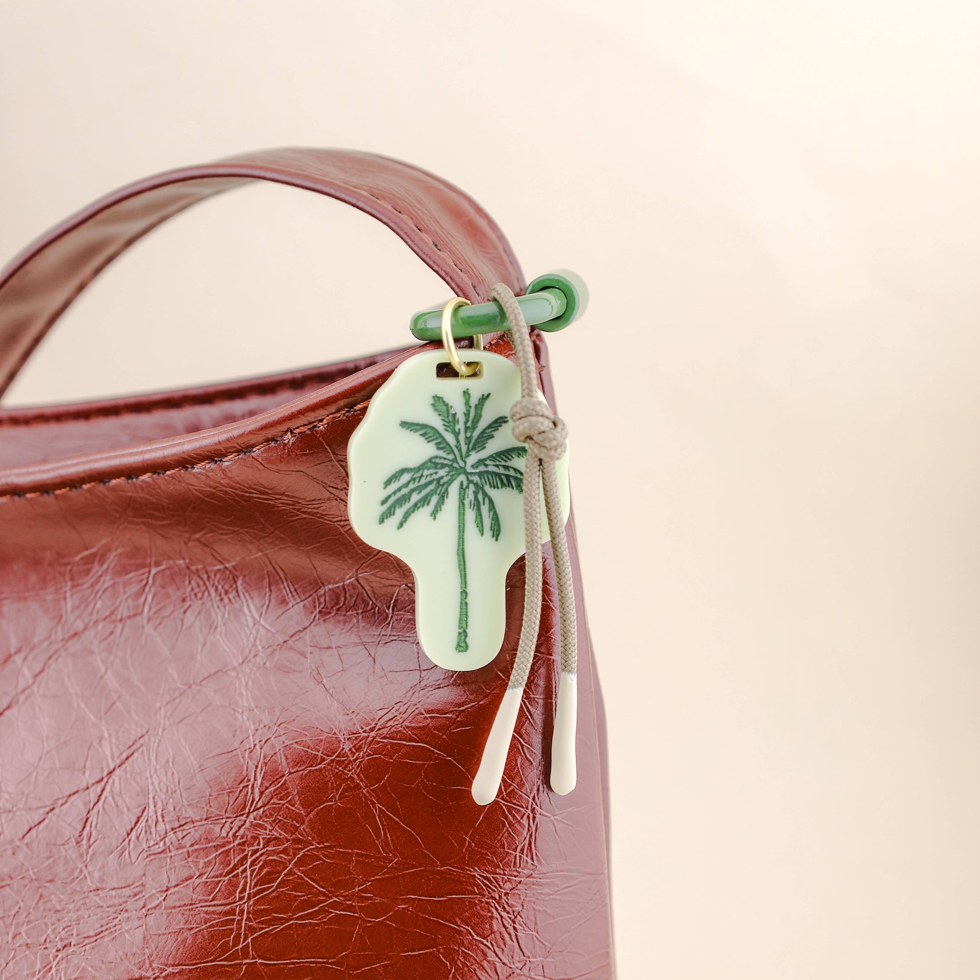 Carabiner Bag Charm