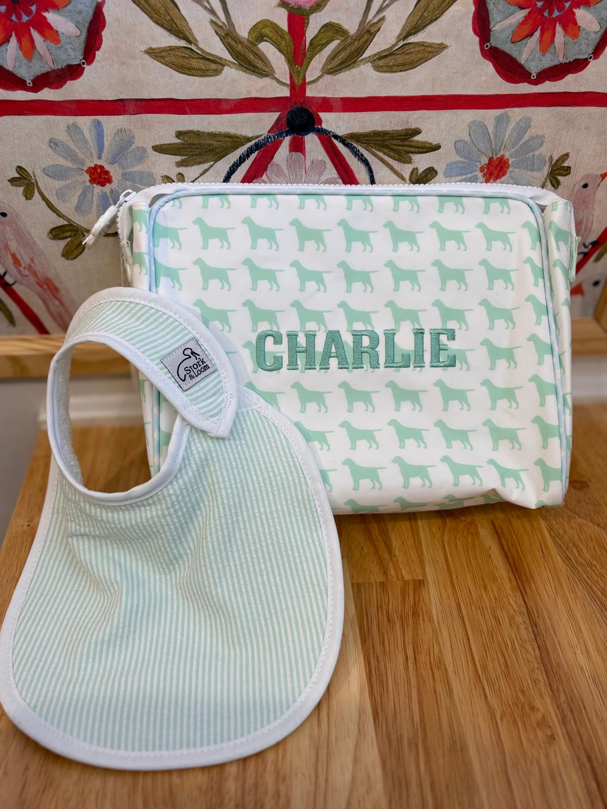 The Vinyl Go Bag
